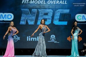 FIT-MODEL OVERALL